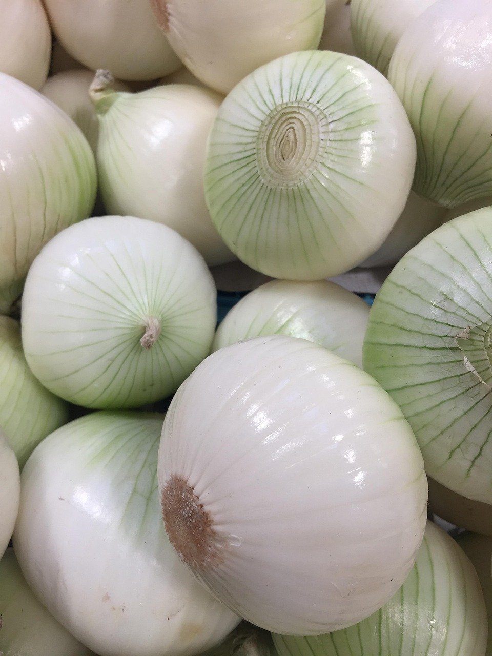 kitchen, vegetable, onion, vegetables, onion, onion, onion, onion, onion, vegetables, vegetables, vegetables