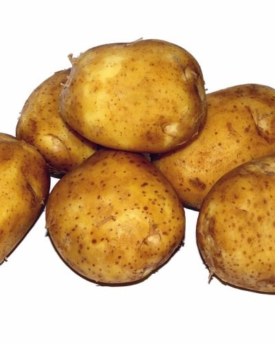 potato, young, food, the background, white, potatoes, potato, potato, potato, potato, potato, potatoes