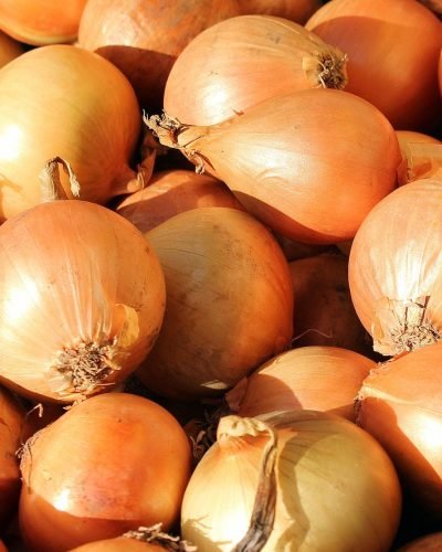 onion, vegetables, food, plant, nature, garden, healthy, onion, onion, onion, onion, onion