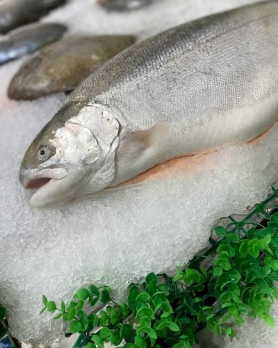 A close-up shot of a fresh fish on ice at a market, showcasing freshness.