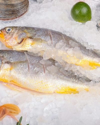 Top view of fresh seafood including fish, clams, and lime on ice.