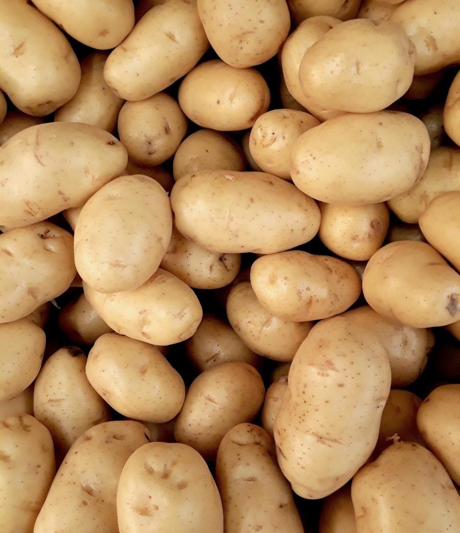 pexels-photo-2286776-2286776 A close-up view of fresh organic potatoes piled together, showcasing natural texture and freshness.